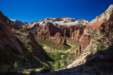 Melekler Açılış Zion National park, Utah, ABD için görüntüleyin