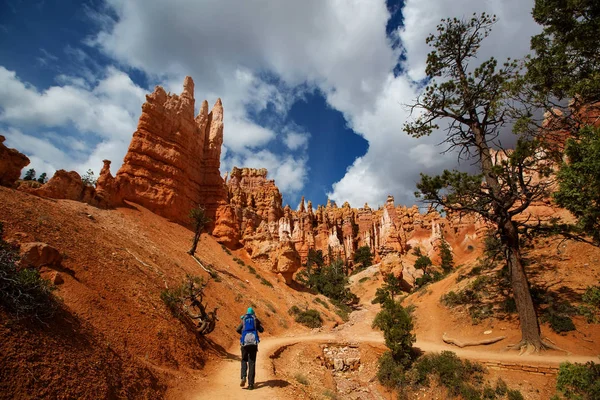 A man with his baby boy are hiking in Bryce canyon National Park — Stock Photo, Image