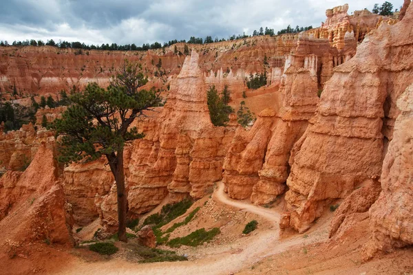 Táj a Bryce Canyon Nemzeti Park, Utah, Amerikai Egyesült Államok — Stock Fotó