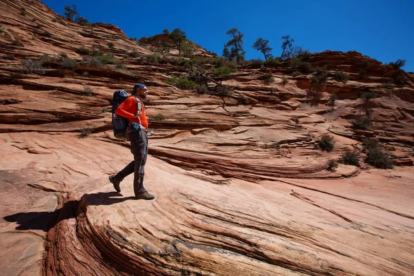 Um homem está caminhando em Zion National Par, Utah, EUA — Fotografia de Stock