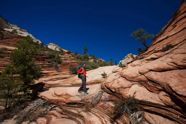 Um homem está caminhando em Zion National Par, Utah, EUA — Fotografia de Stock