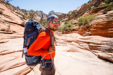 Uzun yürüyüşe çıkan kimse Zion National park Utah, ABD