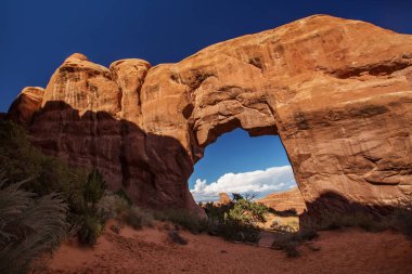 Çam ağacı arch Arches National Park Utah, ABD