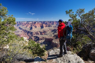 Bir uzun yürüyüşe çıkan kimse Büyük Kanyon Milli Parkı, Güney Rim, Arizona, U '