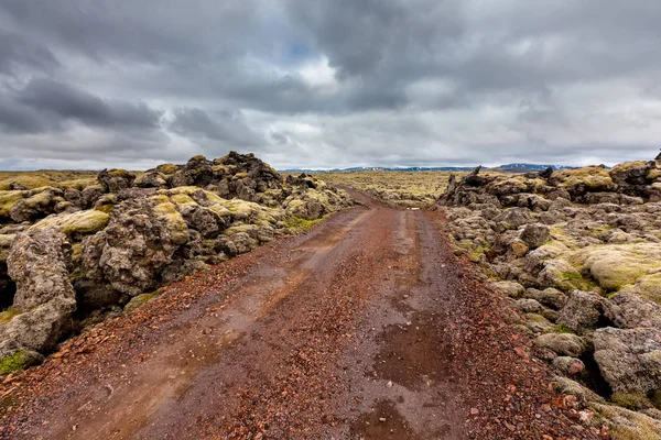 Vista en las llanuras islandesas durante el verano — Foto de Stock