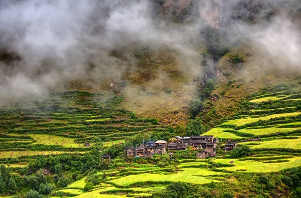 Valle verde en el circuito de Manaslu en las montañas del Himalaya, Nepal — Foto de Stock