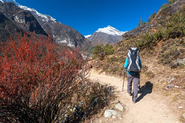 エベレストのベース キャンプに途中女ラ峠に近づいてトレッカー — ストック写真