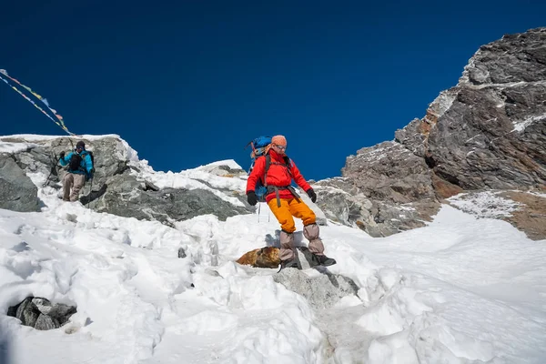 Trekkers che attraversano il passo di Cho La nella regione dell'Everest, Nepal — Foto Stock