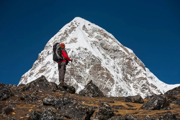 Trekker se blíží Pumori hory v údolí Khumbu na cestě do — Stock fotografie