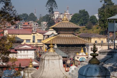 Pashupatinath Tapınağı, Katmandu, Nepal