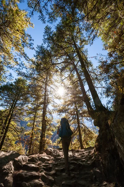 Trekker in lower Himalayas — Stock Photo, Image