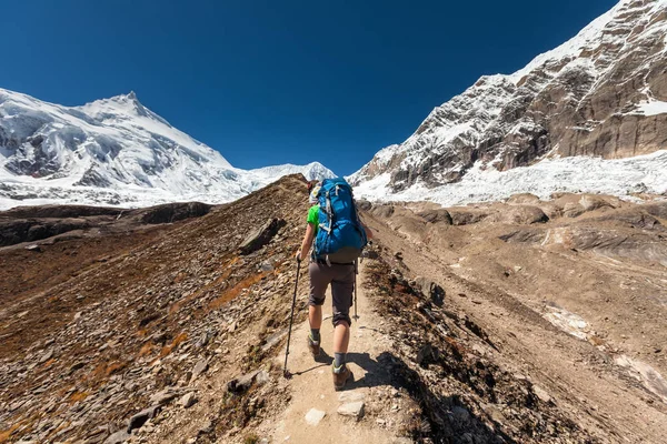 Drumețul se îndreaptă spre tabăra de bază Manaslu din munții Himalaya — Fotografie, imagine de stoc