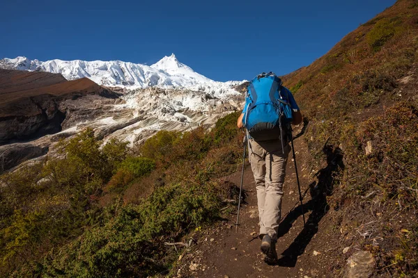 Wandelaar is climbig naar het basiskamp Manaslu in de hooglanden van Himalaya — Stockfoto