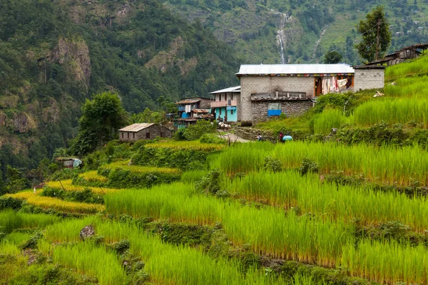 Hermoso paisaje de las montañas del Himalaya en el circuito de Manaslu — Foto de Stock