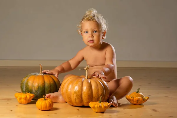 Niño pequeño con calabazas alrededor posando en el estudio — Foto de Stock