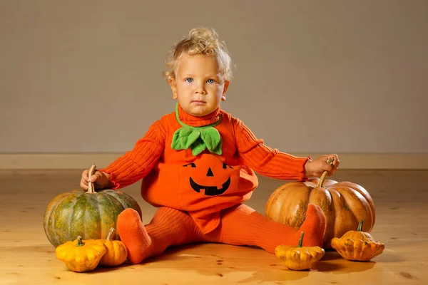 Niño pequeño en traje de calabaza posando en el estudio — Foto de Stock