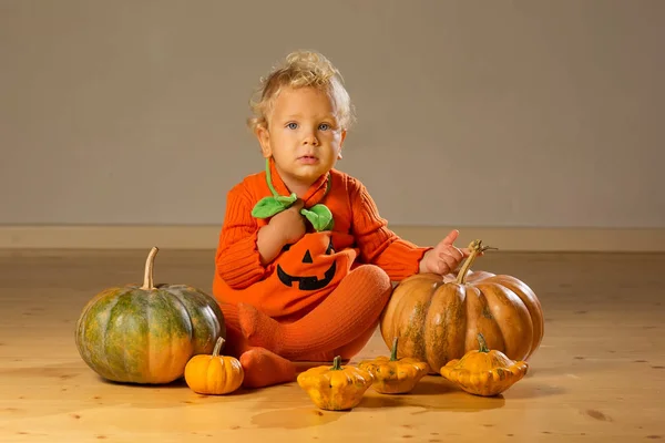 Niño pequeño en traje de calabaza posando en el estudio — Foto de Stock