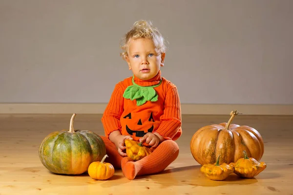 Niño pequeño en traje de calabaza posando en el estudio — Foto de Stock