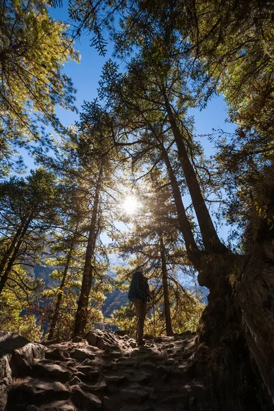 Trekker in lower Himalayas — Stock Photo, Image