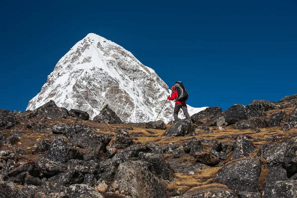 Trekker CIn dağ Khumbu Vadisi'nde bir yolda yaklaşıyor — Stok fotoğraf
