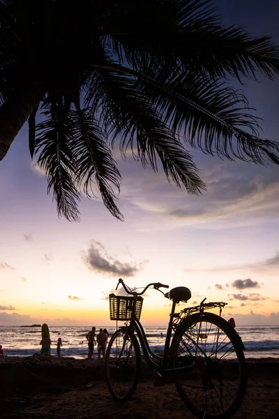 Sepeda di pantai dekat pohon palem dan laut saat matahari terbenam — Stok Foto