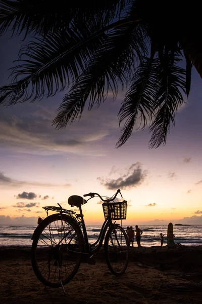 Велосипед на пляжі біля пальми та океану на заході сонця — стокове фото
