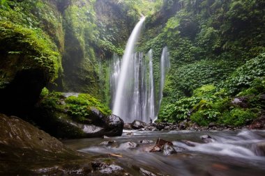 Rinjani yakınlarındaki güzel şelale, Senaru, Lombok, Endonezya