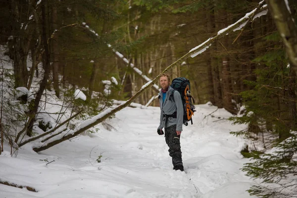 Férfi téli erdőben van hátitáska — Stock Fotó