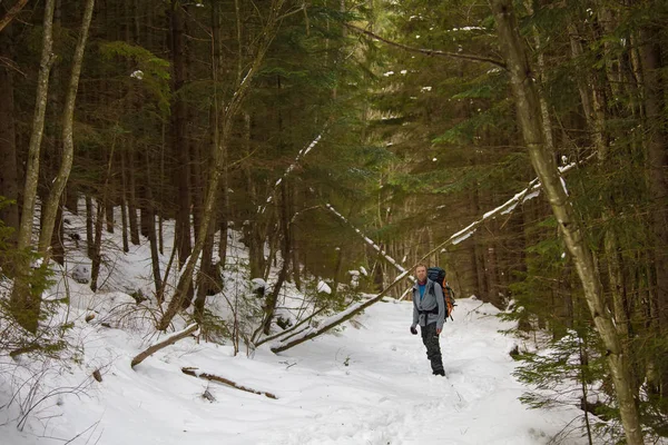 Man is backpacken in winter forest — Stockfoto