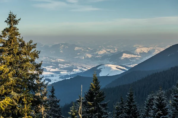 Bellissimo paesaggio delle montagne carpatiche invernali — Foto Stock