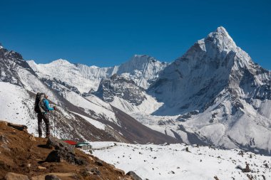 Amadablam Dağı Khumbu Vadisi'nde bir yolda yaklaşan trekker