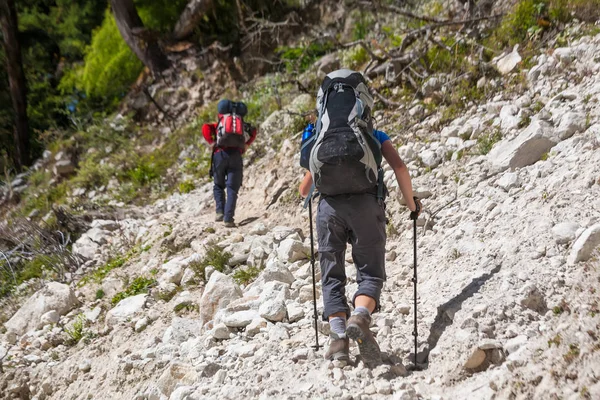 Trekker di Himalaya Bawah — Stok Foto