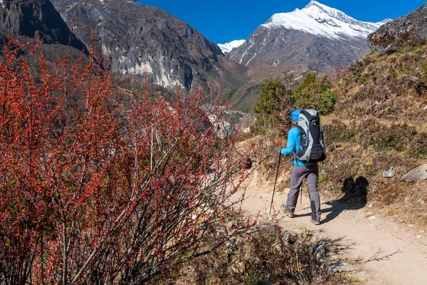 Trekker acercándose a Renjo La pasar en un camino al campamento base del Everest — Foto de Stock