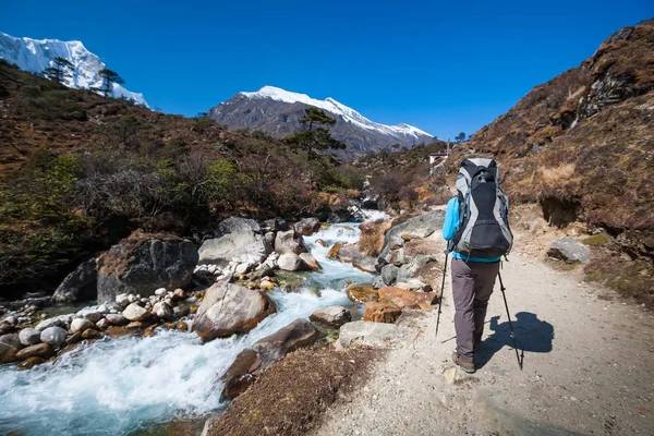 Trekker acercándose a Renjo La pasar en un camino al campamento base del Everest — Foto de Stock