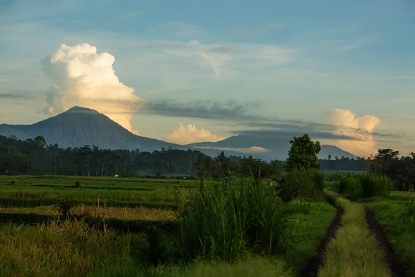 Vista para o campo de arroz e vulcão na ilha de Bali, Indonésia — Fotografia de Stock