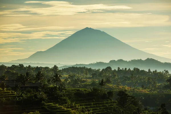 View to the Jatiluwih rice terraces at sunrise on Bali island, I — Stock Photo, Image