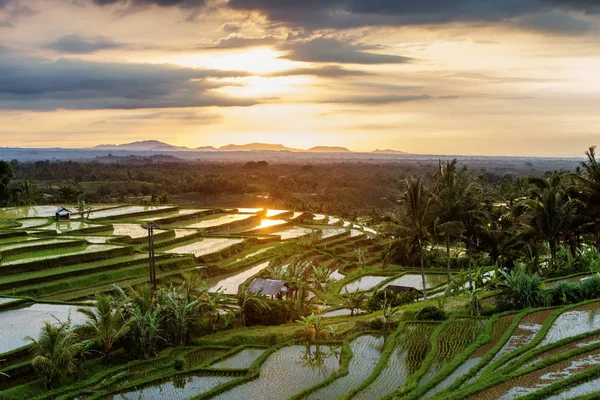 Вид на Jatiluwih тераси рисових при сходом сонця на острові Балі, я — стокове фото
