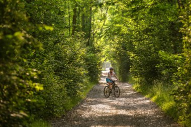 Kadın güzel yeşil ormanın içinde bisiklet ile gidiyor