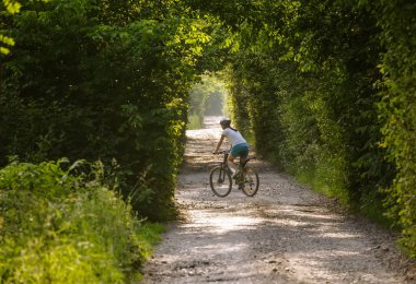 Kadın güzel yeşil ormanın içinde bisiklet ile gidiyor