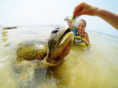 Kaplumbağa ile dalış aile