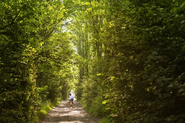 Kadın güzel yeşil ormanın içinde bisiklet ile gidiyor