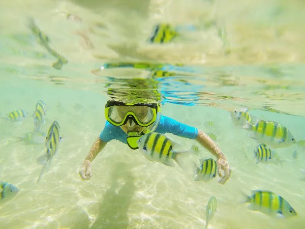 Çocuk yüzme uygun Hint Okyanusu'nda dalış