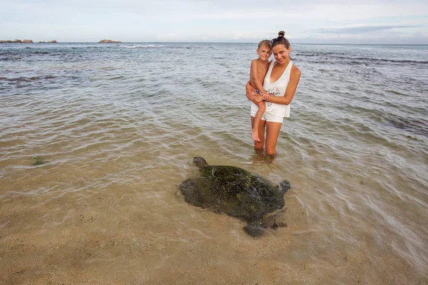 Keluarga snorkeling dengan kura-kura di pantai tropis Sri Lank — Stok Foto