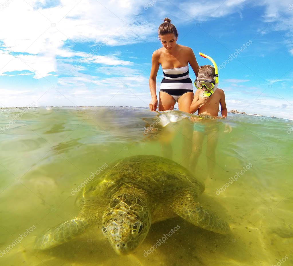 Family snorkeling with turtle