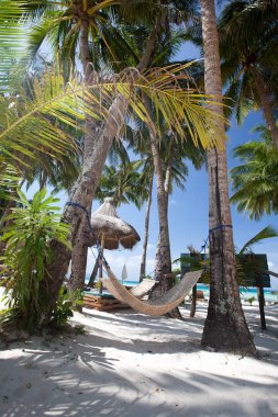 Şezlong şezlong ve hamak Beach Boracay Adası, P