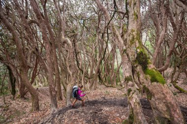 Trekker Annapurna Merkez kamp, Nepal giderken ormandaki