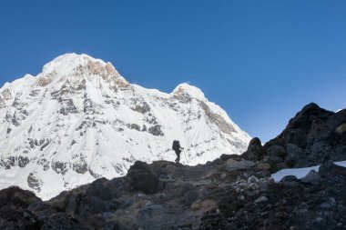 Trekker Annapurna Merkez kamp, Nepal giderken