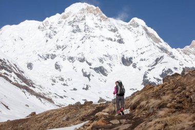 Trekker Annapurna Merkez kamp, Nepal giderken