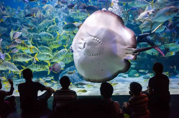 Menschen beobachten das Meeresleben im Ozeanarium von Kuala Lumpur — Stockfoto