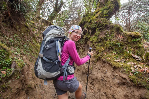 Trekker in the forest on the way to Annapurna base camp, Nepal — Stock Photo, Image